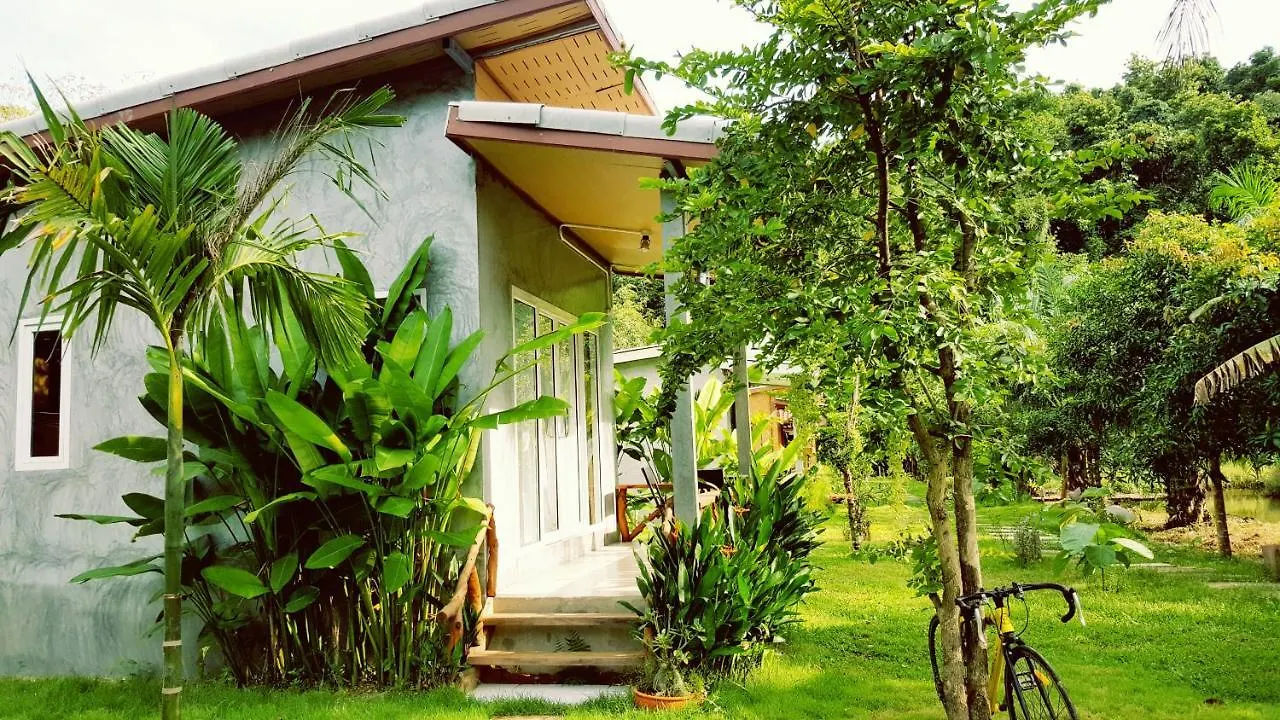 Home No.9 Ко-Ланта Таиланд