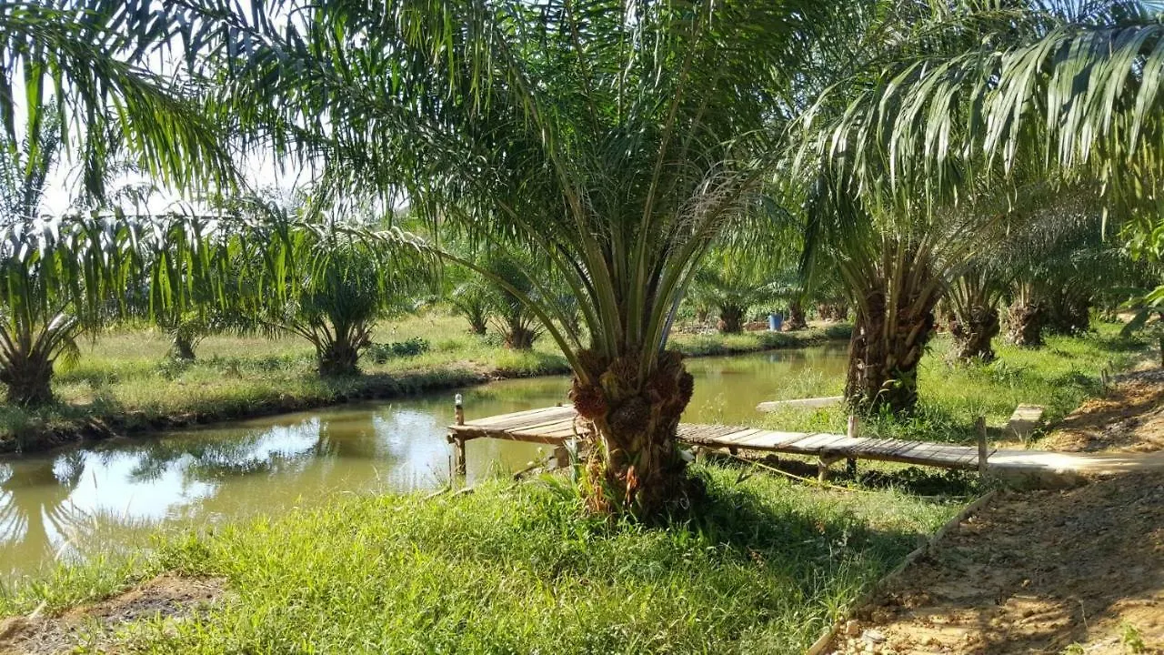 Home No.9 Ko Lanta Πανσιόν