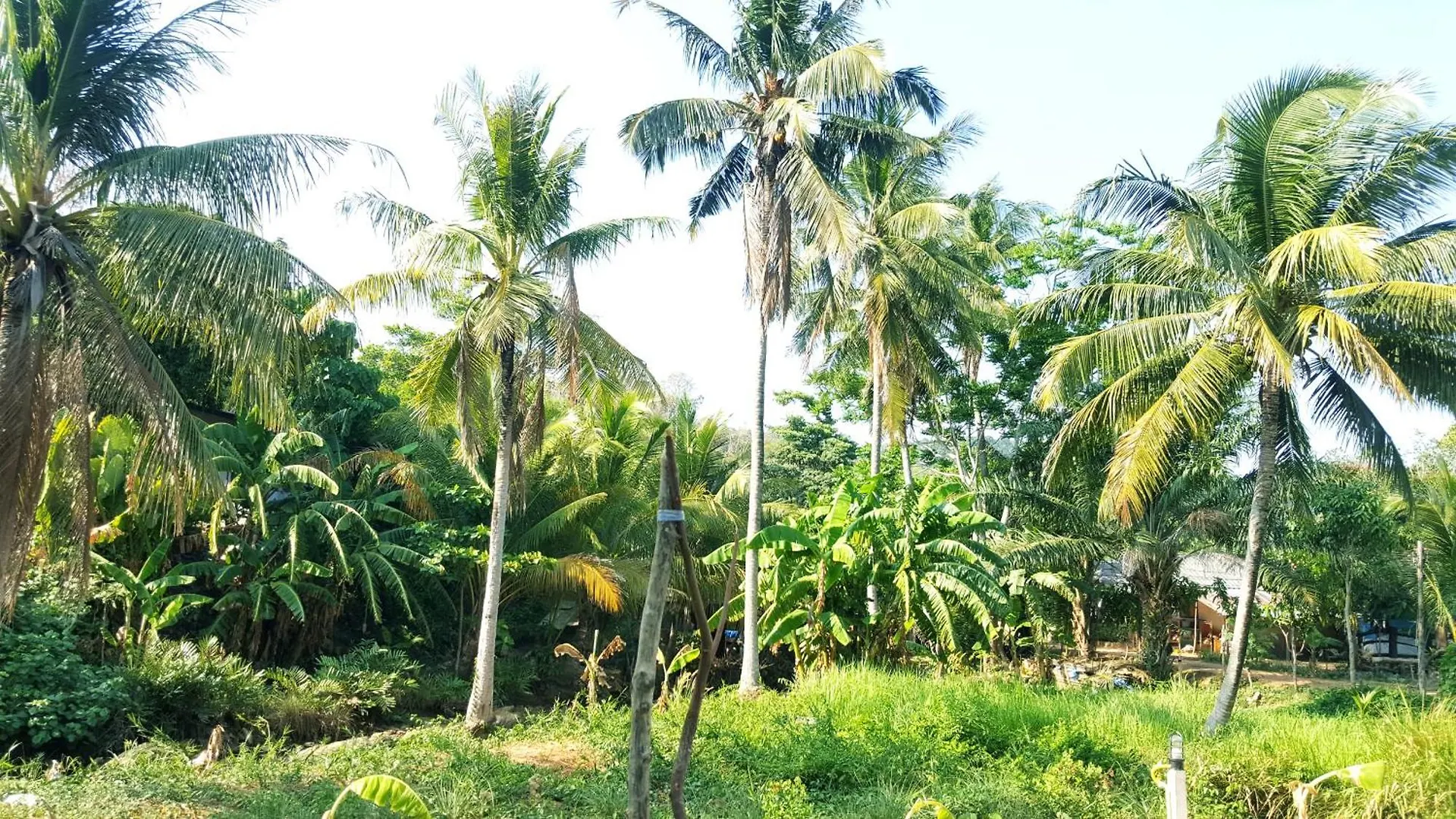 Πανσιόν Home No.9 Ko Lanta